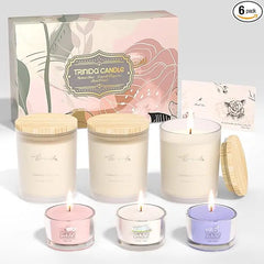 6-pack scented candle set, aromatherapy home fragrance gift for women (assorted scents)