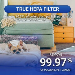 Air Shield UV Air Purifier for Large Room Home Allergies Pets Hair in Bedroom, H13 True HEPA Filter, Remove 99.97%