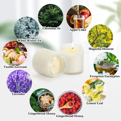 50 Pcs Mini Mason 3.5oz Scented Candles Bulk 10 Fragrances (Xmas Scent), Aromatherapy Candles