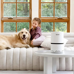 Levoit Air Purifier, True HEPA Air Cleaner for Allergies, Asthma and Pets, LV-H132-XR