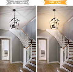 4 Light Chandelier, Industrial Ceiling Light Black Lantern Light