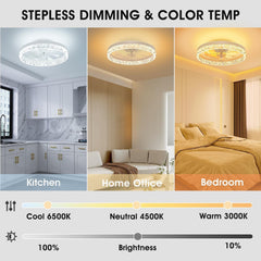 Low Profile Ceiling Fans with Lights and Remote, 20 Inches LED Ceiling