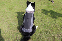Ultimate Warmth Reflective Dog Coat