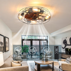Caged Ceiling Fan With Light, 20'' farmhouse Low Profile Ceiling fan