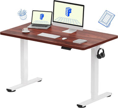 EN1 One Piece Standing Desk 48 X 24 Inch Desktop Electric Adjustable