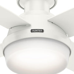 Fan Dempsey Low Profile Ceiling Fans with Lights and Remote, Flush