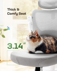 Ergonomic Office Chair: Office Computer Desk Chair with High Back Mesh