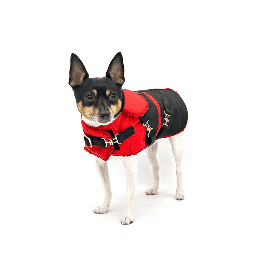 Ruby Red Equestrian Dog Coat by DCNY