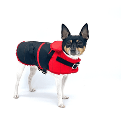 Ruby Red Equestrian Dog Coat by DCNY