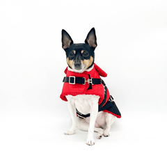 Ruby Red Equestrian Dog Coat by DCNY