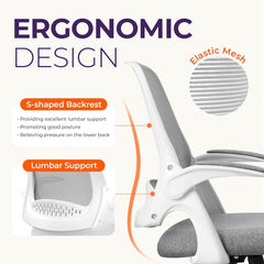 Office Desk Computer Gaming Chair with Ergonomic Lumbar Back Support
