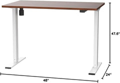 EN1 One Piece Standing Desk 48 X 24 Inch Desktop Electric Adjustable
