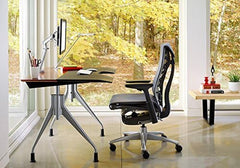 Embody Ergonomic Office Chair | Fully Adjustable Arms and Carpet