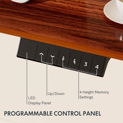 EN1 One Piece Standing Desk 48 X 24 Inch Desktop Electric Adjustable