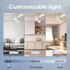 52In Smart Low Profile Ceiling Fans with Lights Remote,Quiet DC