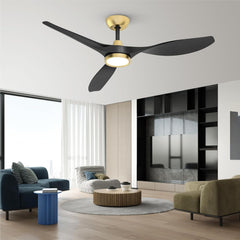 Large Airflow Indoor Ceiling Fan with Light