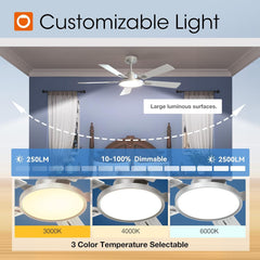 Ceiling Fans with Lights, 52 Inch Silver Ceiling Fan with Light and