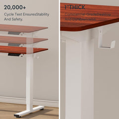 EN1 One Piece Standing Desk 48 X 24 Inch Desktop Electric Adjustable