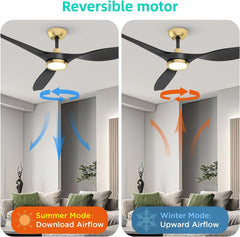 Large Airflow Indoor Ceiling Fan with Light