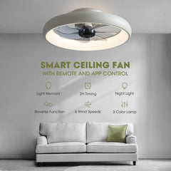 Ceiling Fans with Lights and Remote, 20'' Low Profile Flush Mount