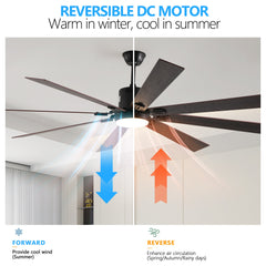 Walnut LED Ceiling Fan Light with 8 Wooden Blades, Remote Control,
