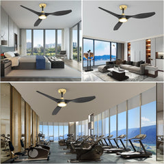 Large Airflow Indoor Ceiling Fan with Light