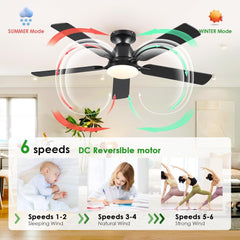 Ceiling Fans with Lights- 52" Low Profile Indoor Ceiling Fan with