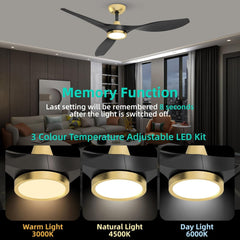 Large Airflow Indoor Ceiling Fan with Light