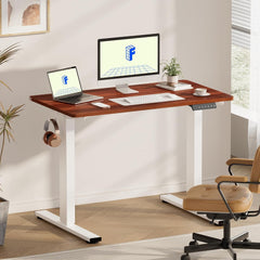 EN1 One Piece Standing Desk 48 X 24 Inch Desktop Electric Adjustable