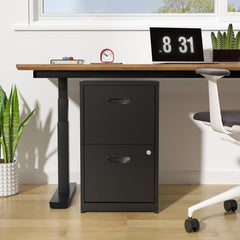 2 Drawer File Cabinet, Metal File Cabinets with Lock, 18"D Black