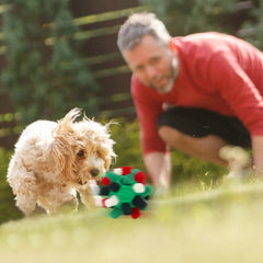 2pcs Dog Puzzle Toys Snuffle Ball Encourages Foraging Skills Training Cloth Strip with Hidden Food Interactive Dog ball Toys