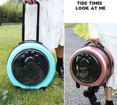 Pet suitcase, transparent cat bag, portable outdoor box, cat and dog Carriers Pet stroller, small pet suitcase