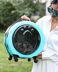 Pet suitcase, transparent cat bag, portable outdoor box, cat and dog Carriers Pet stroller, small pet suitcase