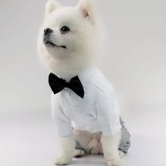 Gentleman Dog Clothes Wedding Party Suit Formal Shirt Jacket For Small Dogs Pet Outfit Halloween Christmas Costume