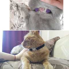 Heart Charm and Bell Cat Collar Safety Elastic Adjustable with Soft Velvet Material 5 colors pet Product small dog collar Gatos