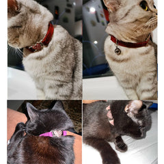 Heart Charm and Bell Cat Collar Safety Elastic Adjustable with Soft Velvet Material 5 colors pet Product small dog collar Gatos