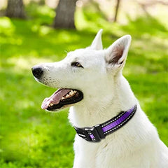 Pet Harness Collar and Leash Set All-in-one Reflective Dog Harness No Pull with Adjustable Buckles for Puppies Small Medium