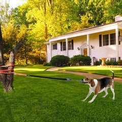 Tug Of War Dog Toy Tree Tugger Dog Toy Dog Rope Toy Tether Tug Dog Pull Toy Dog Tree Tug Toy For Pulling Shaking Relieve Boredom