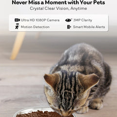 4L New 2.4G 5G HD Camera with Timer Voice Smart Automatic Pet Feeder for Cats and Dogs WiFi Smart Dry Food Feeding Bowl