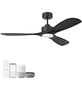 52 "Smart Low Profile ceiling Fans with Lights Remote,Quiet DC Motor,Outdoor Indoor Flush Mount Fan,Control WIFIAle