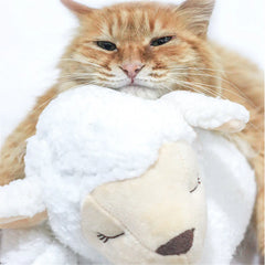 Pet Toy Dogs Plush Toy Comfortable Behavioral Training Aid Toy Heart Beat  Heating Soothing Plush Doll Sleep For Smart Cats Play