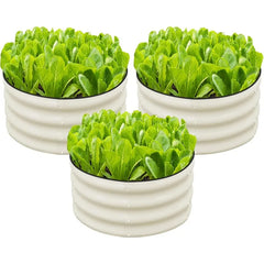 3 Pcs 2x2x1ft Round Galvanized Raised Garden Bed Kit Outdoor, Metal Planter Box for Planting Plants Vegetables, White