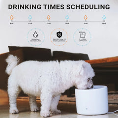 Smart Automatic Pet Water Fountain Cats Dogs App Control Ultra Quiet Filtration System Fresh Water Dispenser