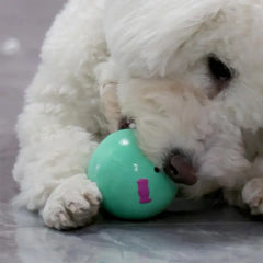 Egg Ball Dog Toy Soft Latex Rubber Animal Interactive Fetch Ball Cute Egg Doll Shape Four-color Squeaky Egg Dog Ball For Small