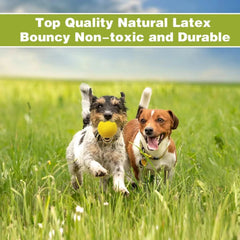 Tough and Durable Large Dog Balls - Set of 2 Indestructible Tennis Balls for Aggressive Chewers, Interactive Water Toy Ball for