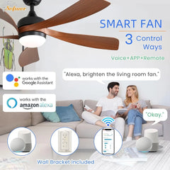 52" Smart Ceiling Fan, Indoor/Outdoor Ceiling Fans with Alexa/Google/App, 3-Color Light 6-Speed Timing Reversible DC Motor