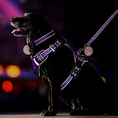 Pet Harness Collar and Leash Set All-in-one Reflective Dog Harness No Pull with Adjustable Buckles for Puppies Small Medium