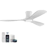52 "Smart Low Profile ceiling Fans with Lights Remote,Quiet DC Motor,Outdoor Indoor Flush Mount Fan,Control WIFIAle