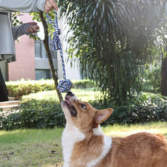 Tug Of War Dog Toy Tree Tugger Dog Toy Dog Rope Toy Tether Tug Dog Pull Toy Dog Tree Tug Toy For Pulling Shaking Relieve Boredom