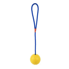 Rubber Interactive Training Toy Dog Dogs Pet Reward For Toy On Supplies Rope Funny Natural Dog Fetch Training Play Ball